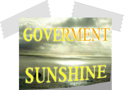 Sunshine and Government Transparency Post-it