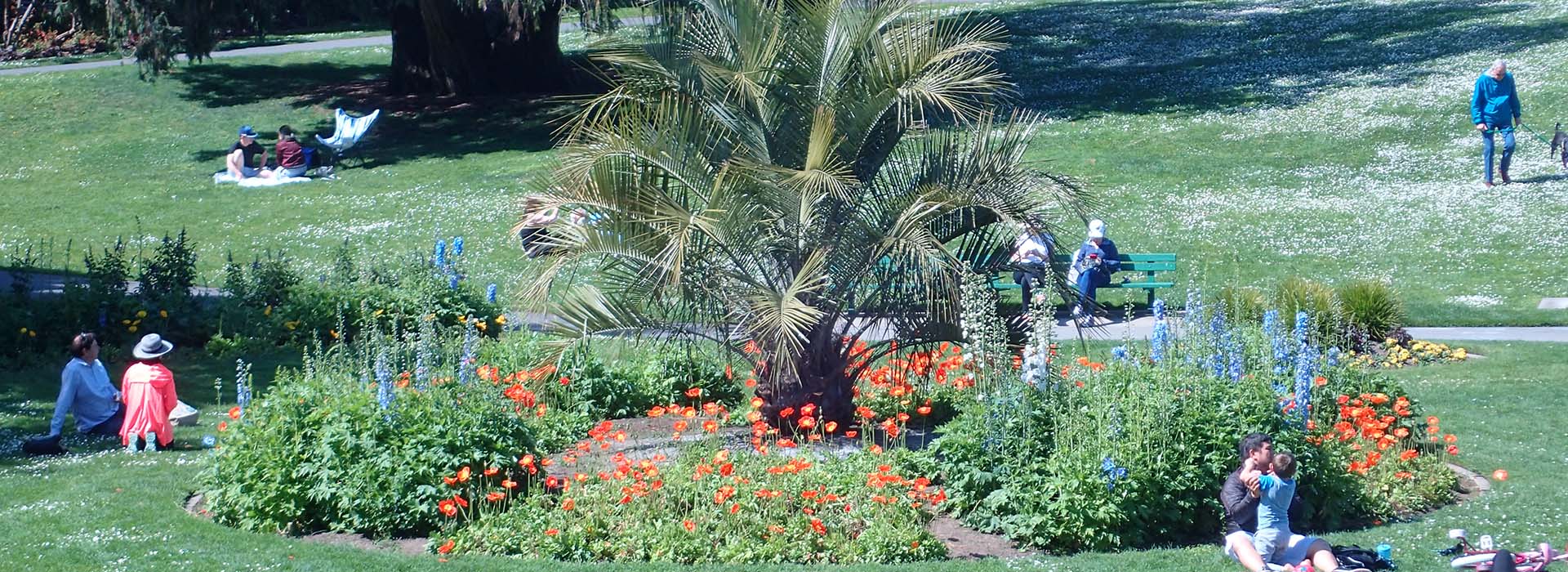 san Francisco conservatory grounds