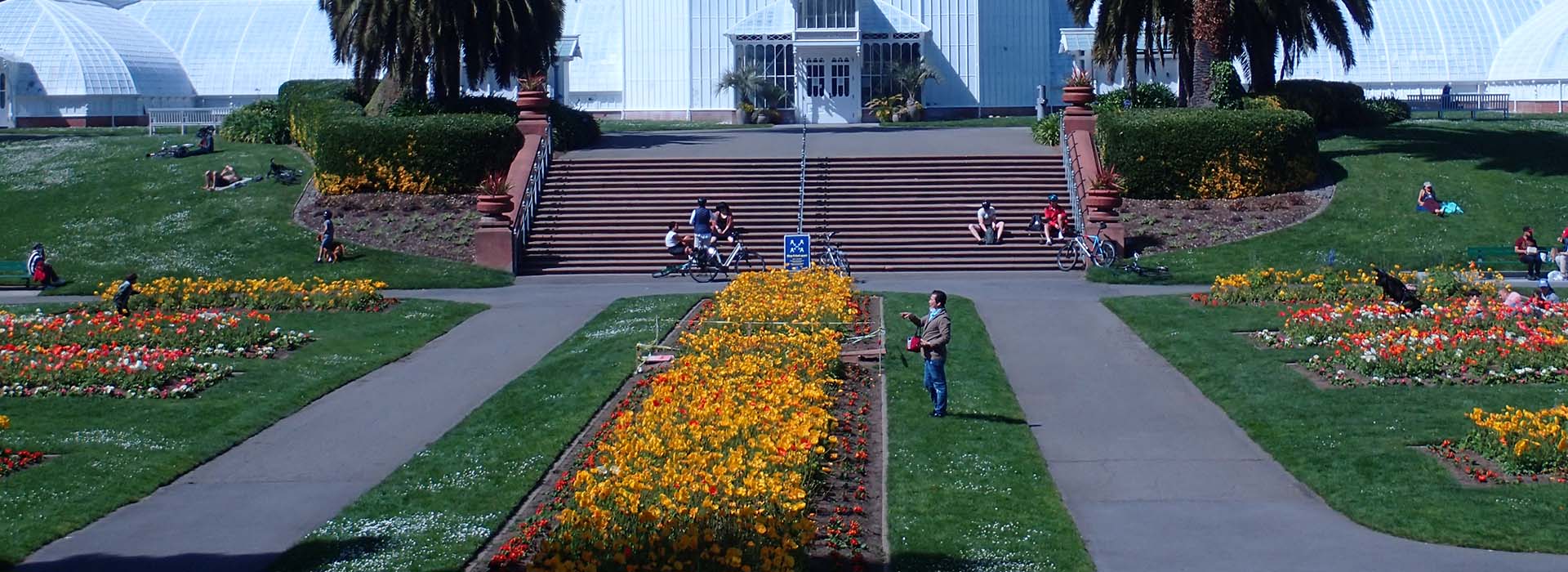 san francisco conservatory of flowers