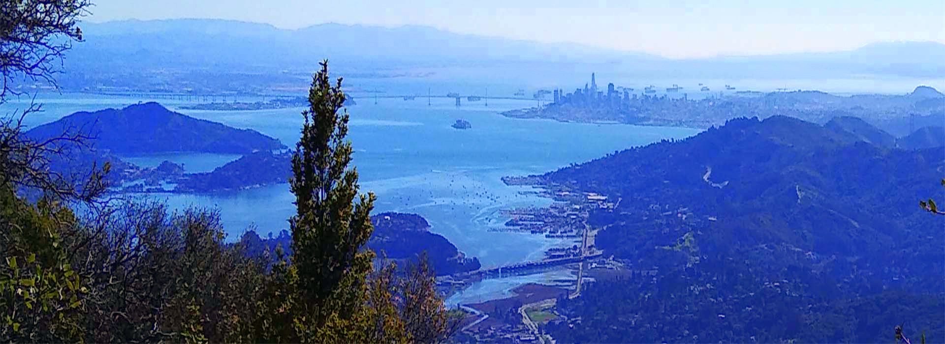 san francisco from top of Mt. Tam